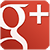 tl_files/files/customs2/google-plus-logo.png